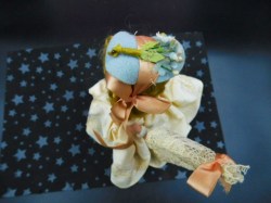 nancy ann 7 parasol side a